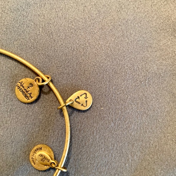 Alex and Ani Turn Peace Up Bracelet ☮️ - Picture 3 of 3